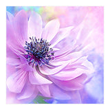 Wispy Purple Anemone (Print Only) thumbnail