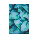 Leaf Me Alone (Print Only) thumbnail