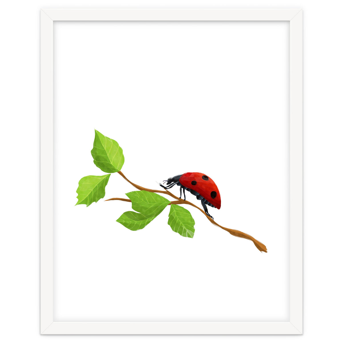 Ladybug