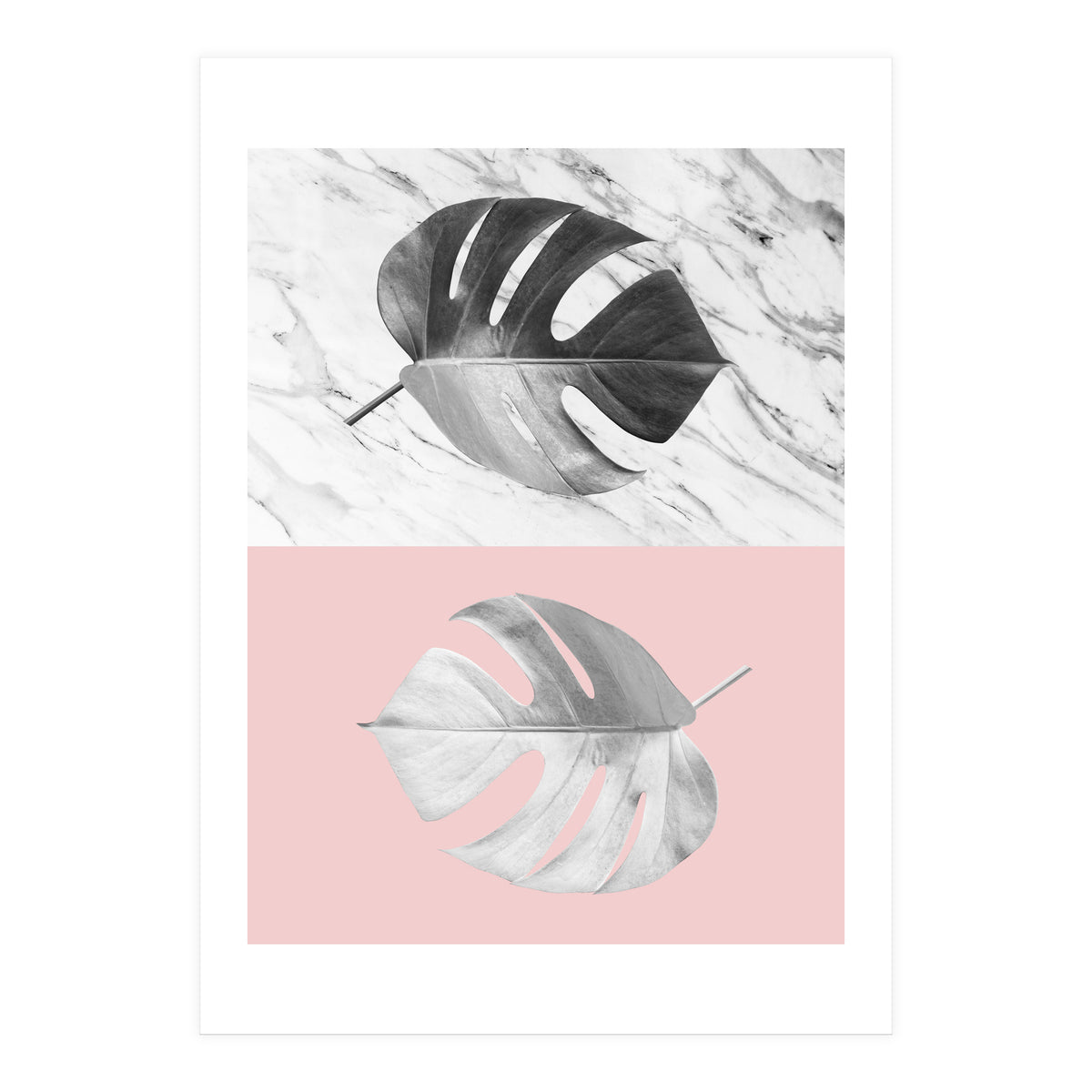 Tropical collage V (Print Only)