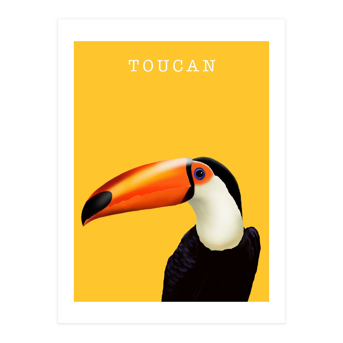 Toucan (Print Only)