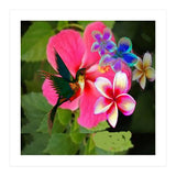 Hummingbird (Print Only) thumbnail