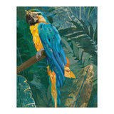 Macaw Meditation in the tropical jungle (Print Only) thumbnail