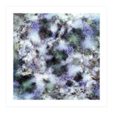 The Soft And The Static (Print Only) thumbnail