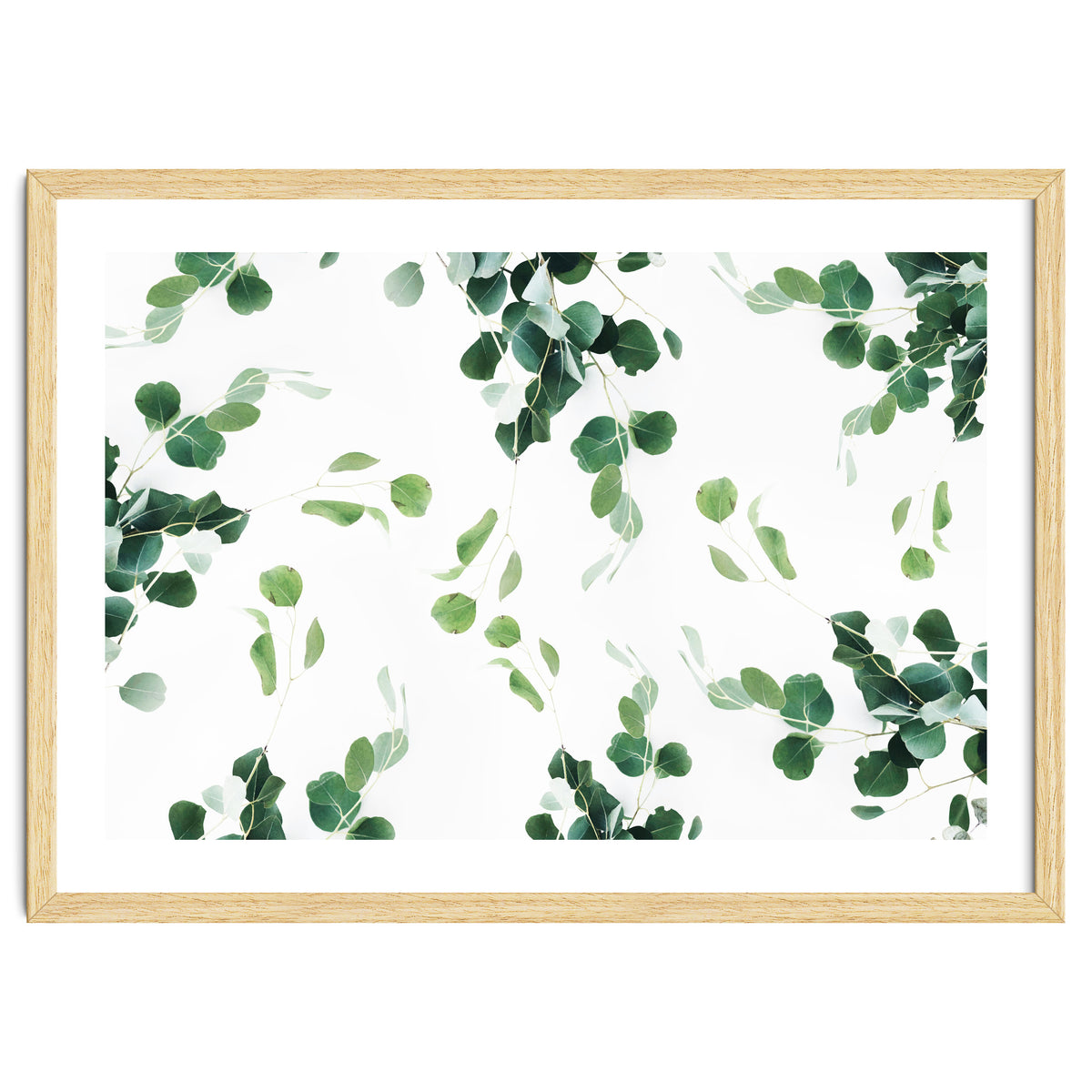 Botanical Celebration