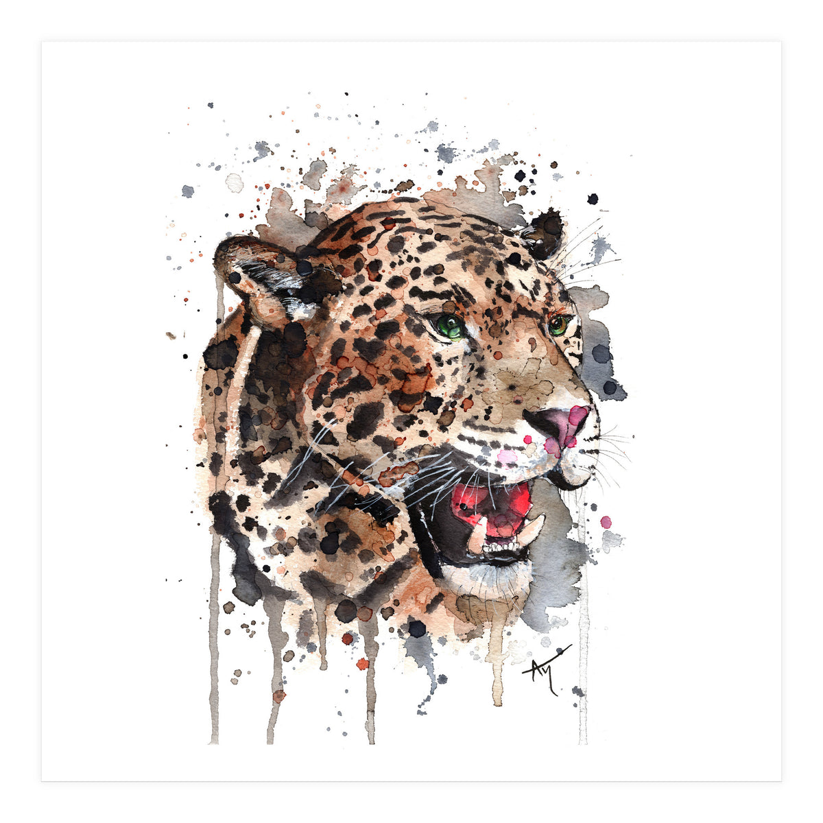 Leopard - Wildlife Collection (Print Only)