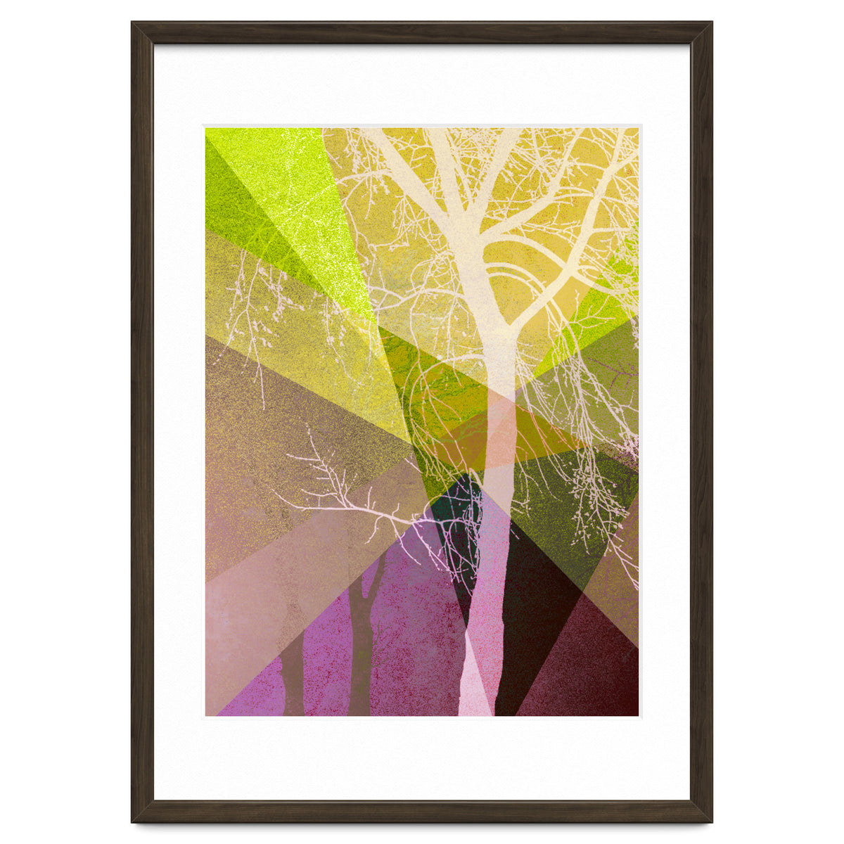 P22 A Trees And Triangles