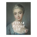 C'est La Fucking Vie (Print Only) thumbnail