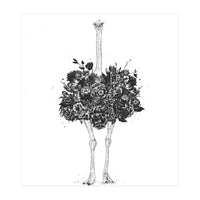 Floral Ostrich (Print Only)