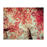 Scarlet (Print Only) thumbnail