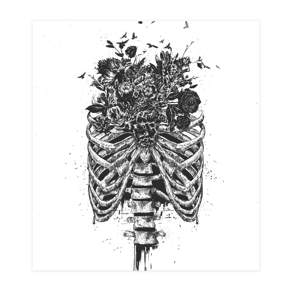 New Life Bw (Print Only)