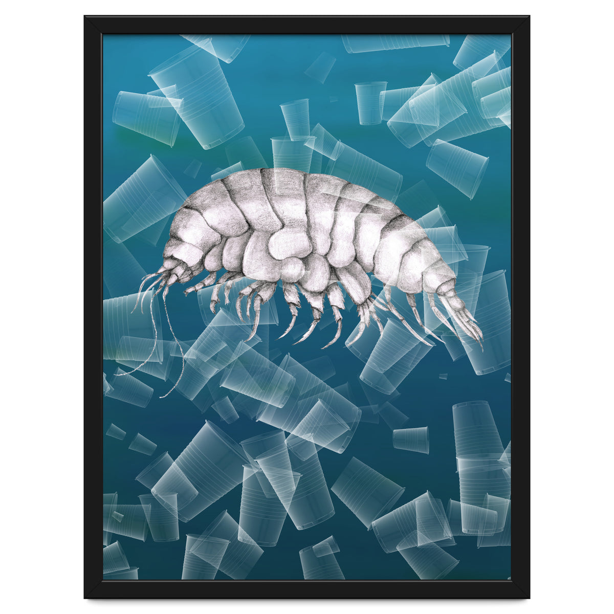 Eurythenes Plasticus