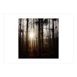 D3 A0 Cf3 E 6509 400 C 926 D 905230 D93 F61 (Print Only) thumbnail