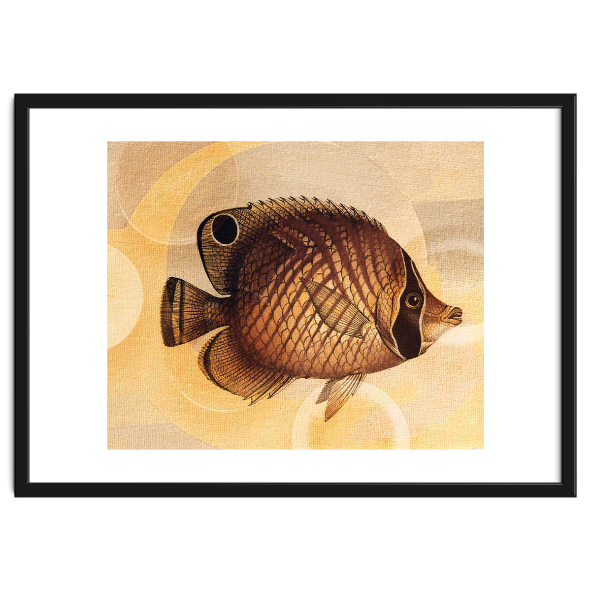 Fish Between Circles 3