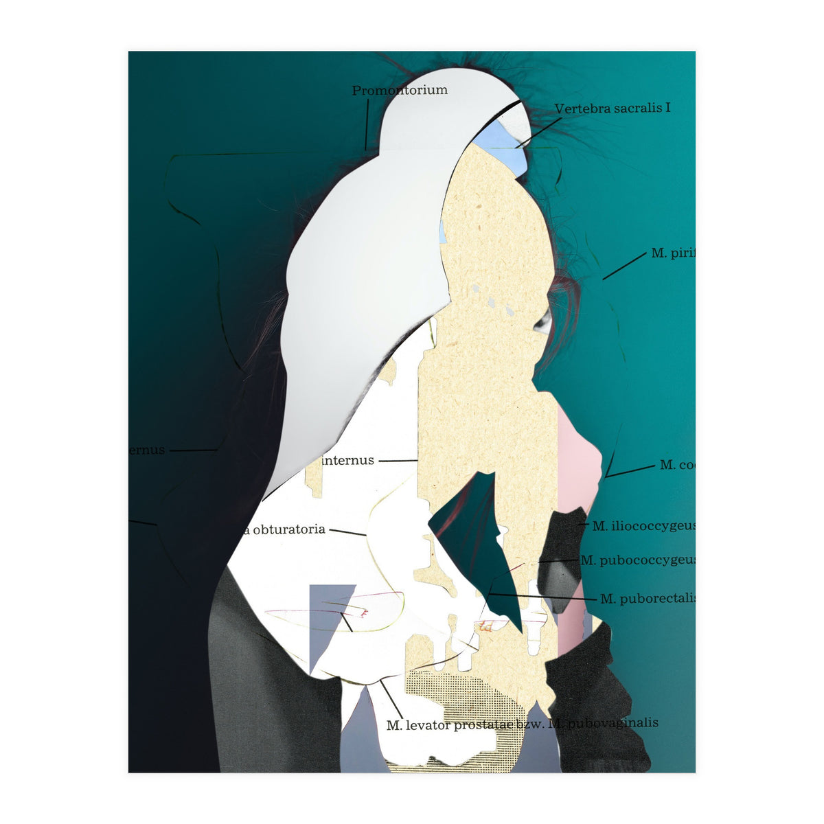 Position Task (Print Only)