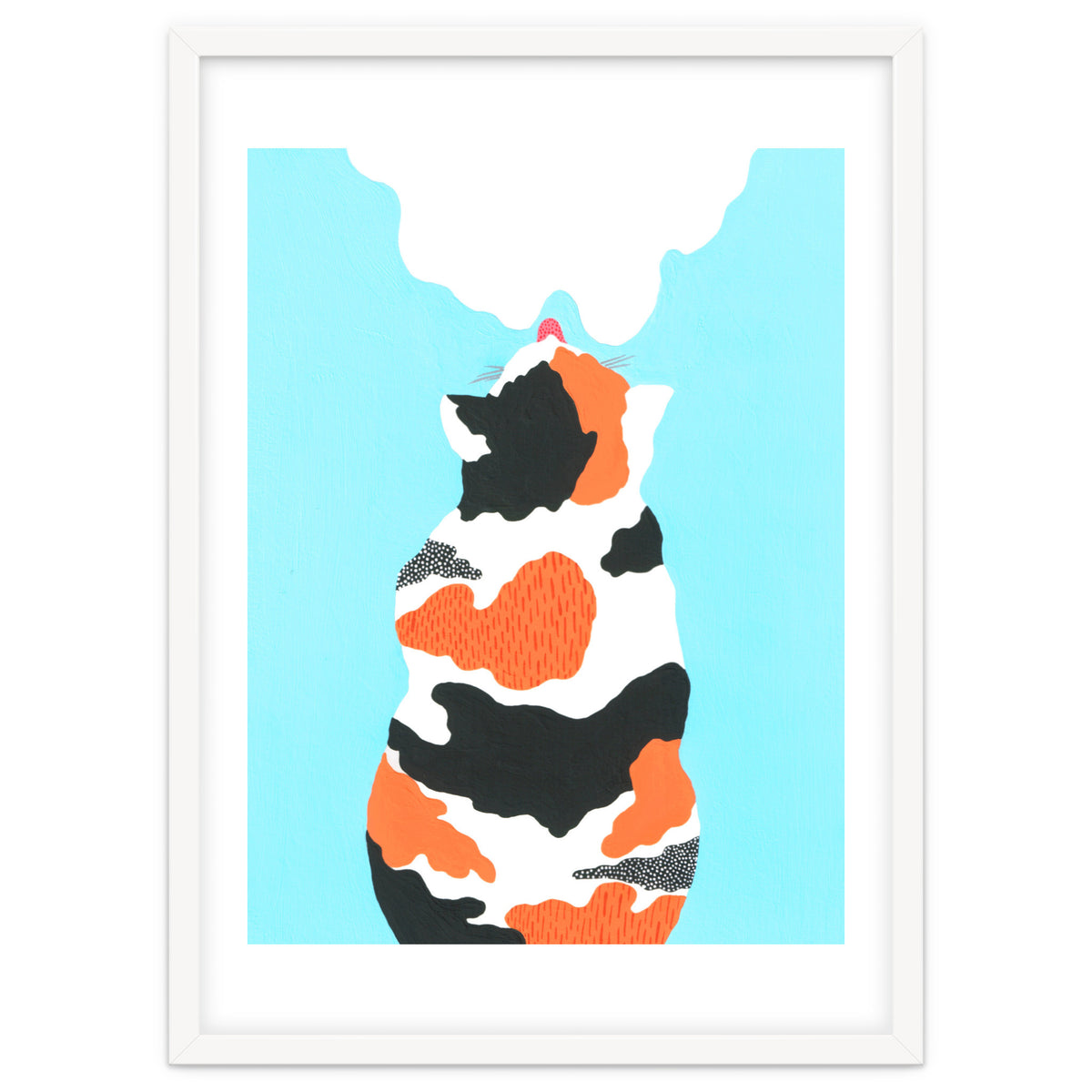 Tri Colored Calico Cat