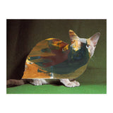 Color Cat (Print Only) thumbnail