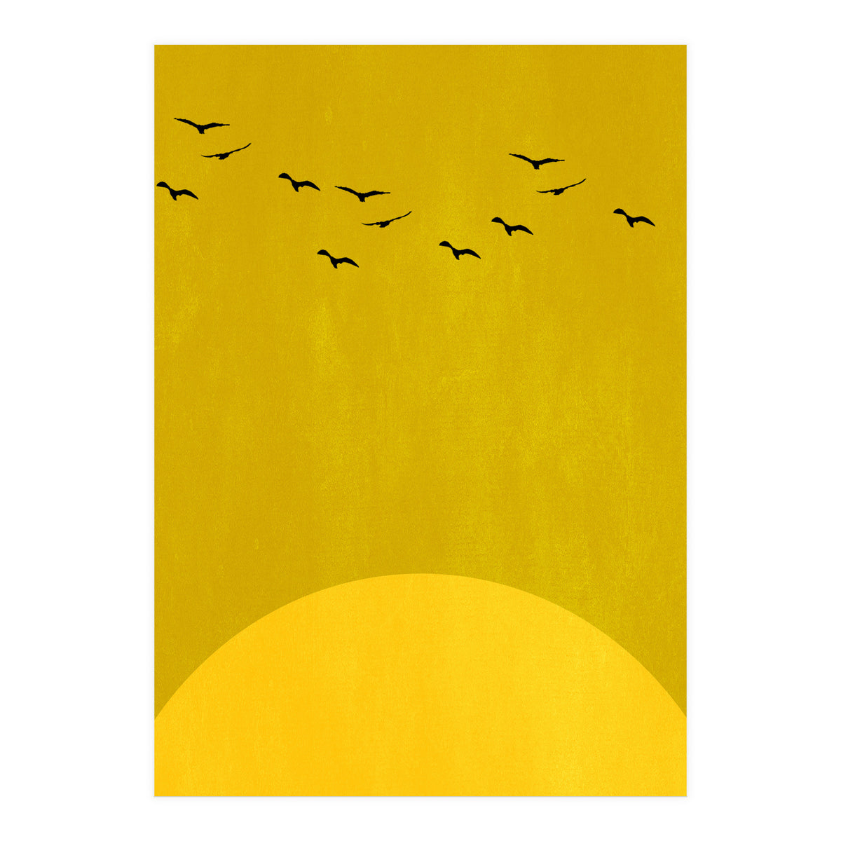 Sundance (Print Only)