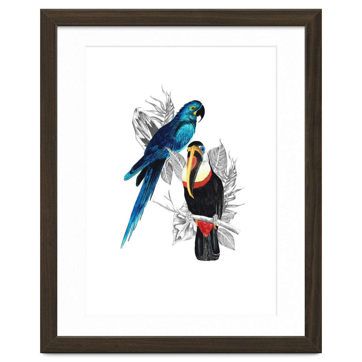 The Toucan and the Parrot