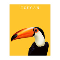 Toucan (Print Only)