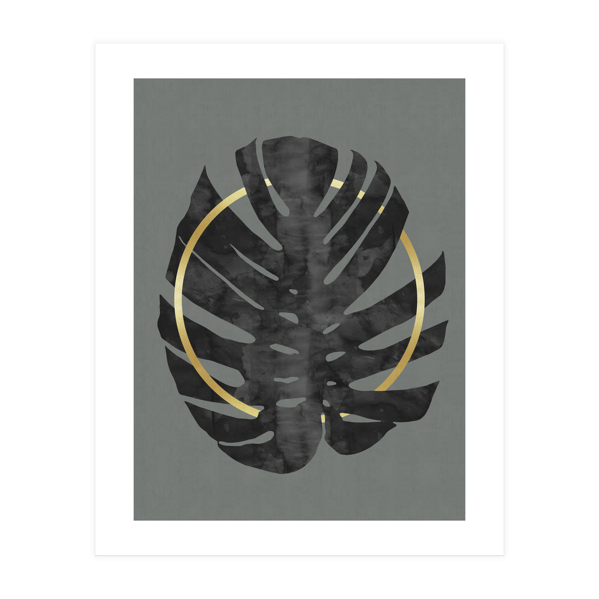 Monstera Deliciosa I (Print Only)