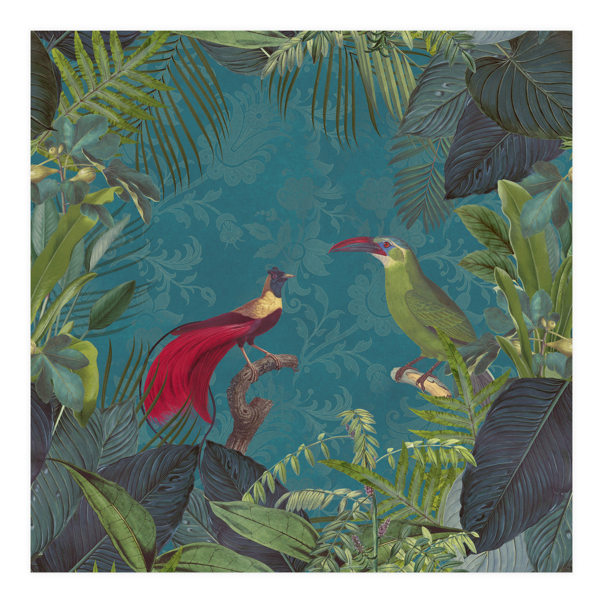 Birds Of Paradise (Print Only)