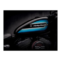 Harley Davidson Detail (Print Only)