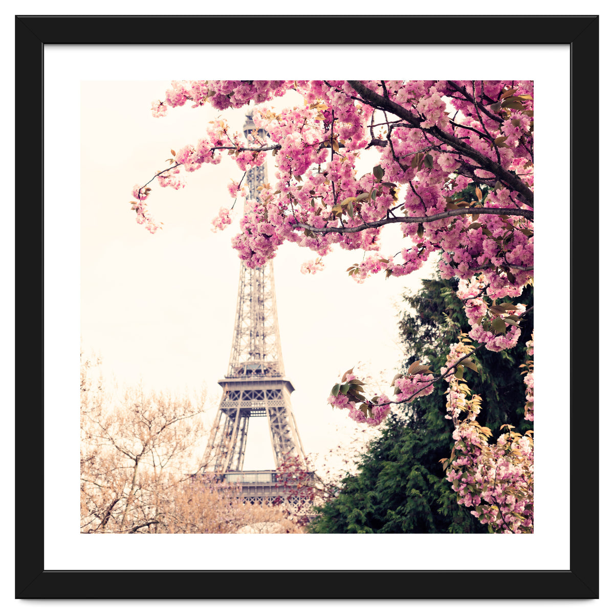 Paris in the Spring