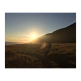 Lost Coast (Print Only) thumbnail