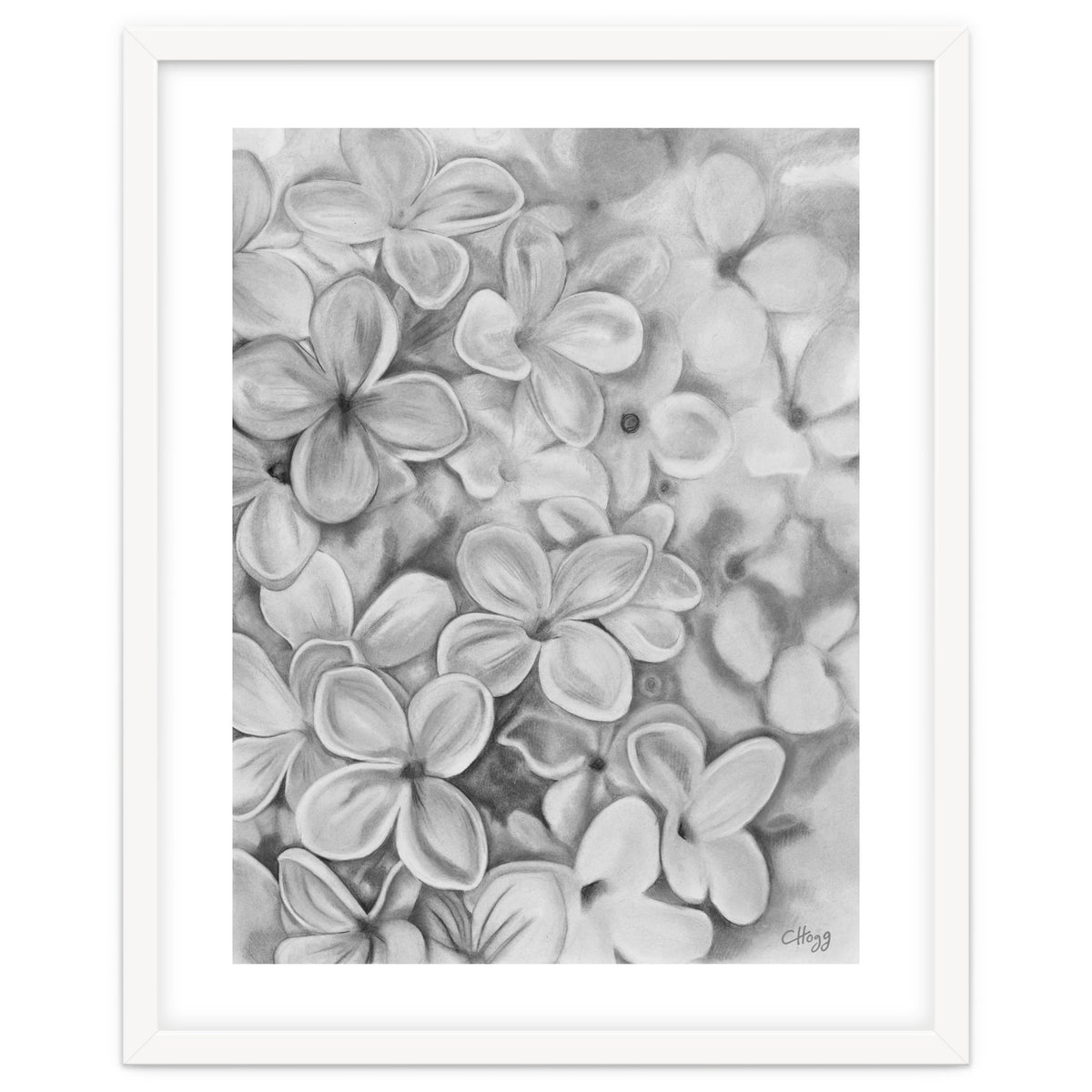 The Essence Of Spring in Monochrome