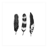Dark Feather (Print Only) thumbnail