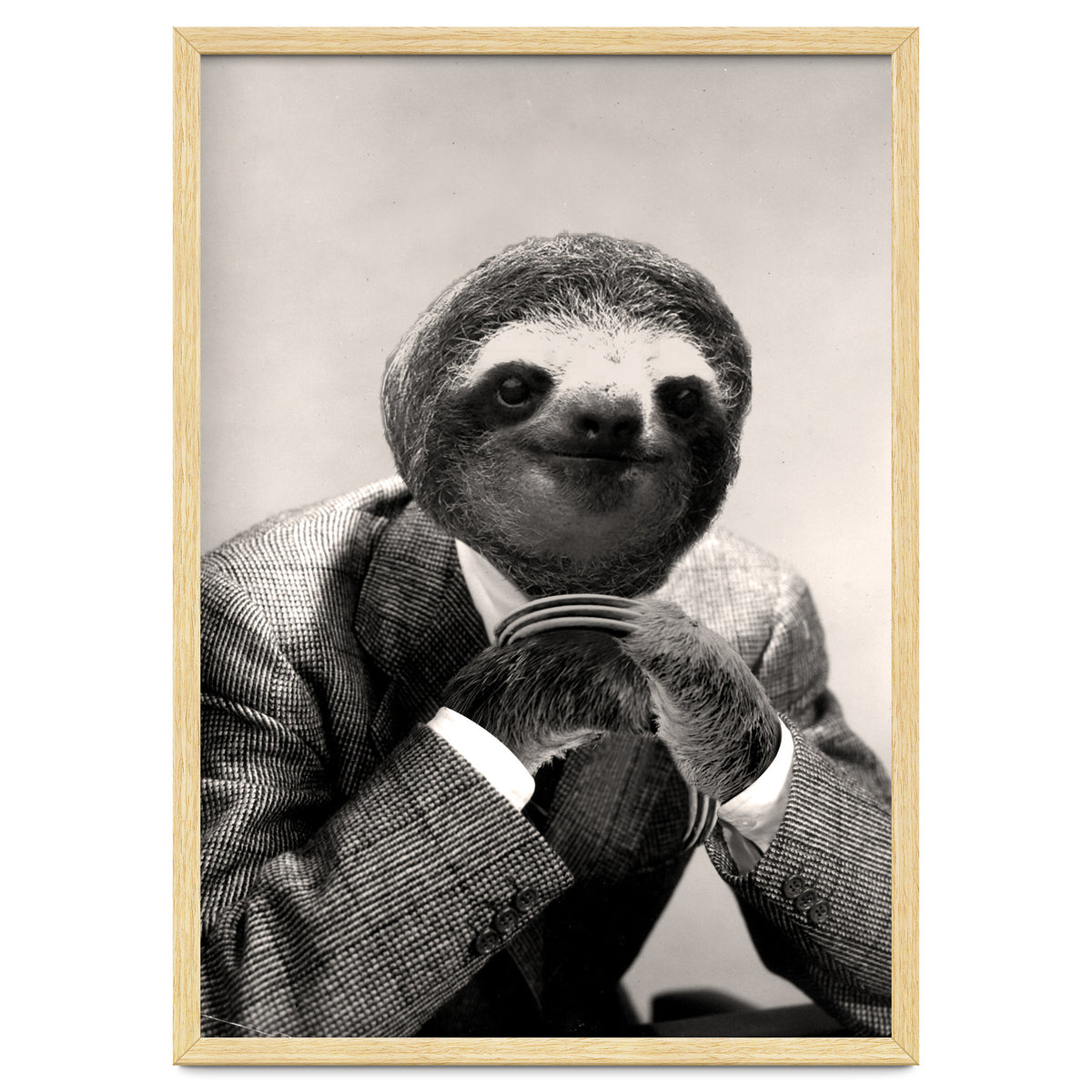 Gentleman Sloth 3