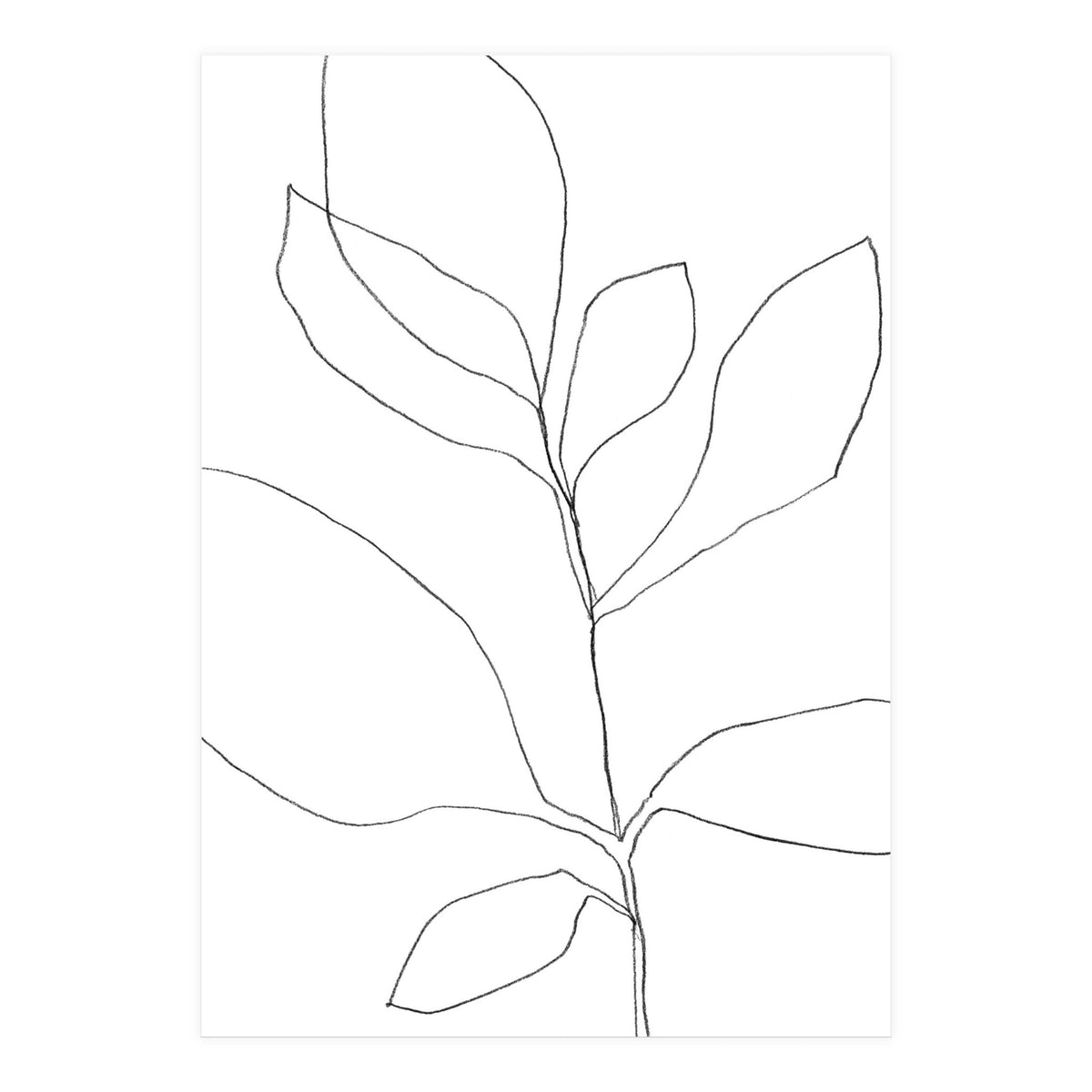Seven Leaf Plant (Print Only)