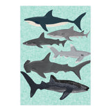 Sharks (Print Only) thumbnail