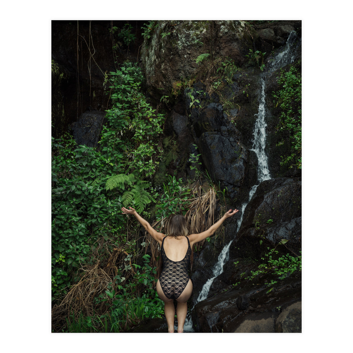 Fountain of Youth (Print Only)