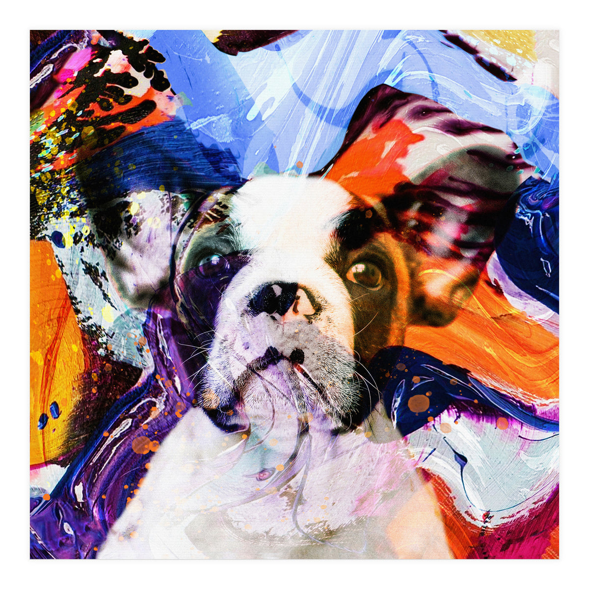 Zycko Color Dog 1 (Print Only)