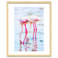 Flamingo Pink