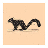 Squirrel (Print Only) thumbnail