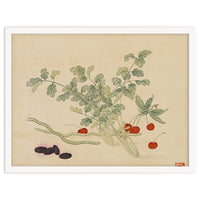 Wang Chengyu~flowers And Vegetables, Vegetables, Fruits, Beans, Red Beans, Cherries, Celery