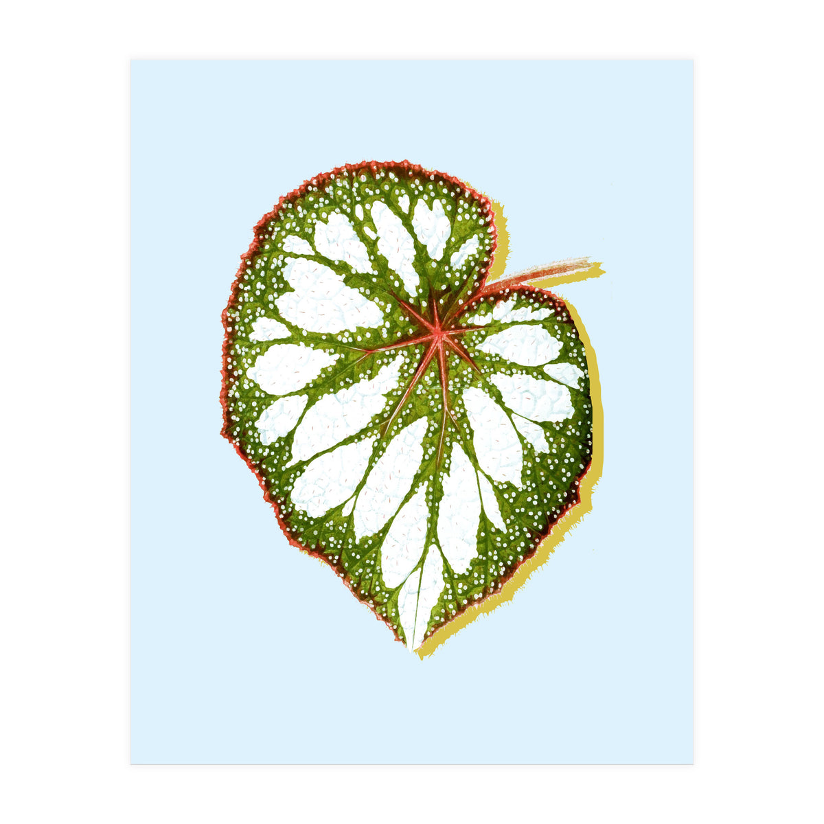 Prodigy (Print Only)