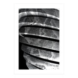 Parole I  (Print Only) thumbnail