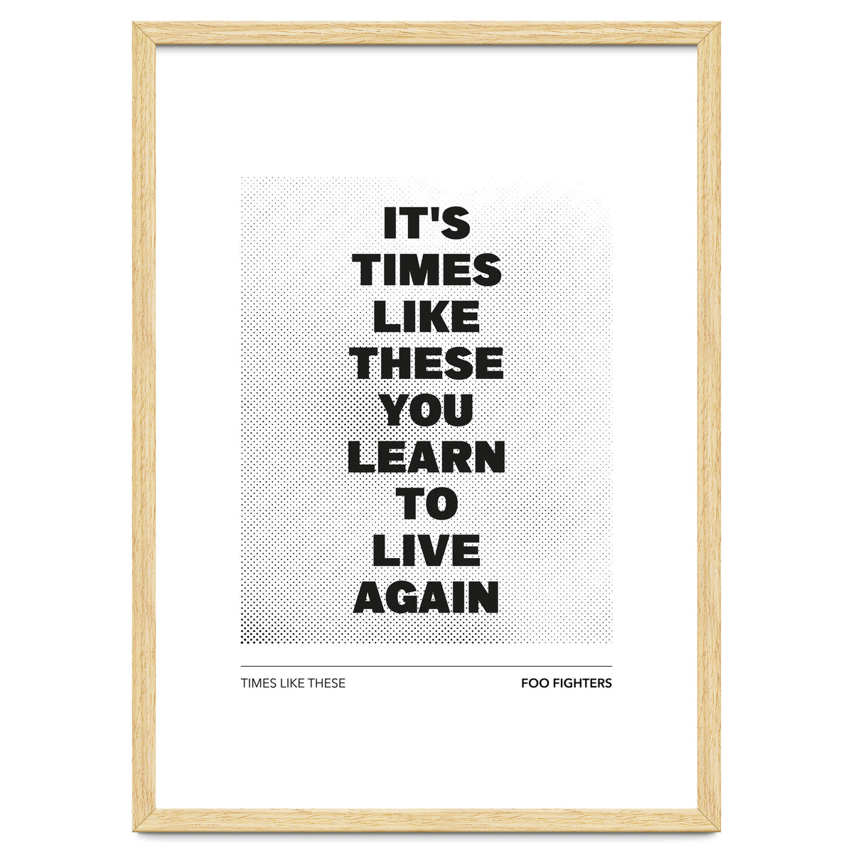 Foo Fighters - Times Like These