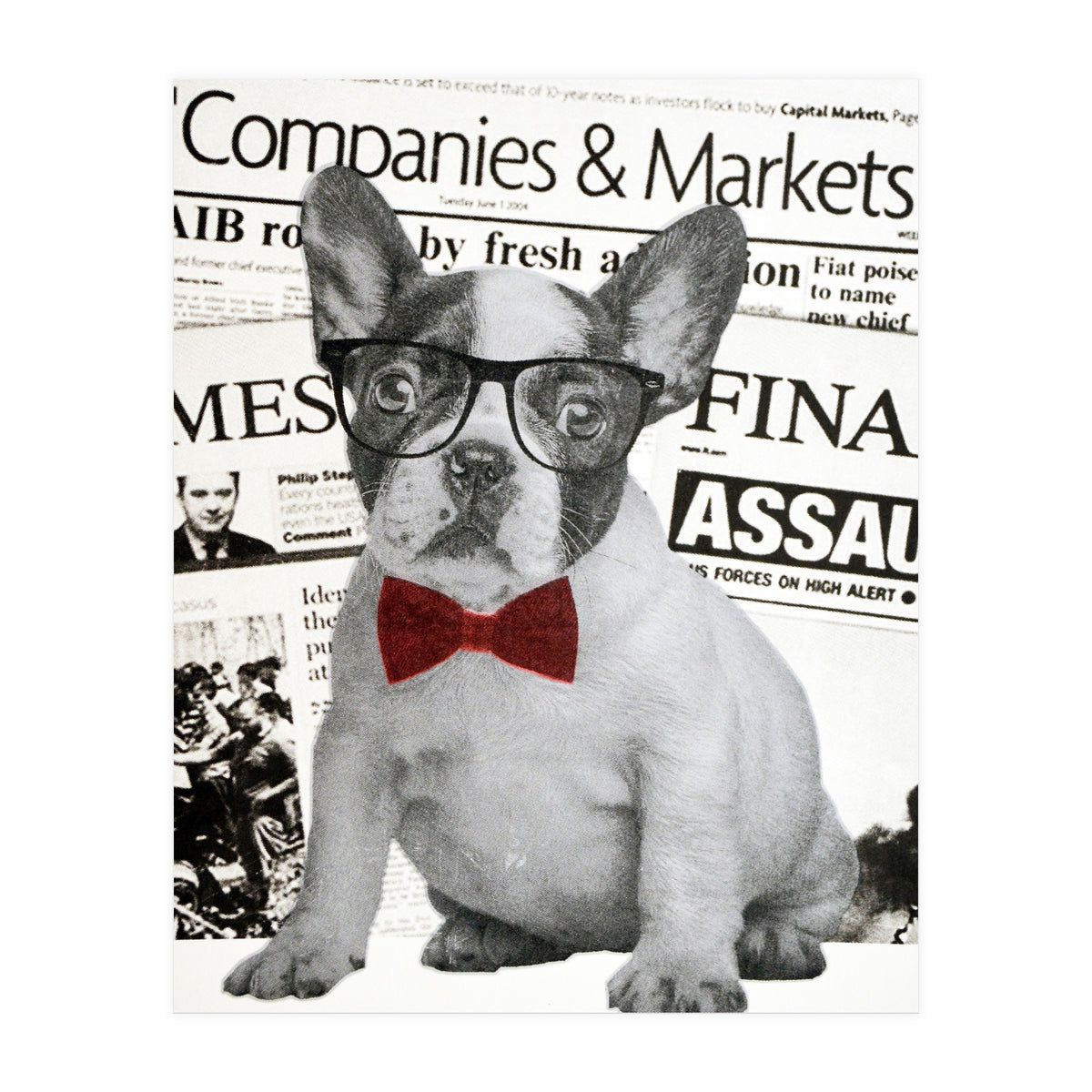 The Dog Of Wall Street (Print Only)