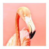 Pink Paradise (Print Only) thumbnail