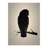Owl Minimalist Picture (Print Only) thumbnail