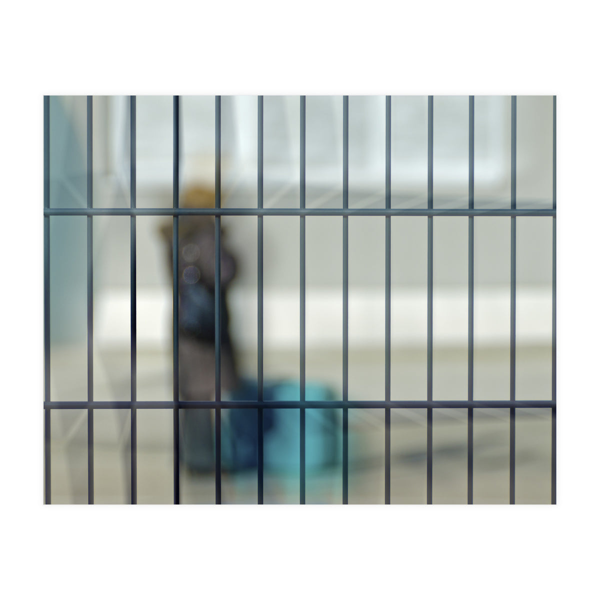 Behind a fence (Print Only)