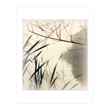 Quiet Waters  (Print Only) thumbnail