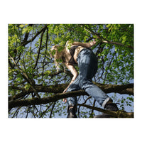 Tree Climber (Print Only)