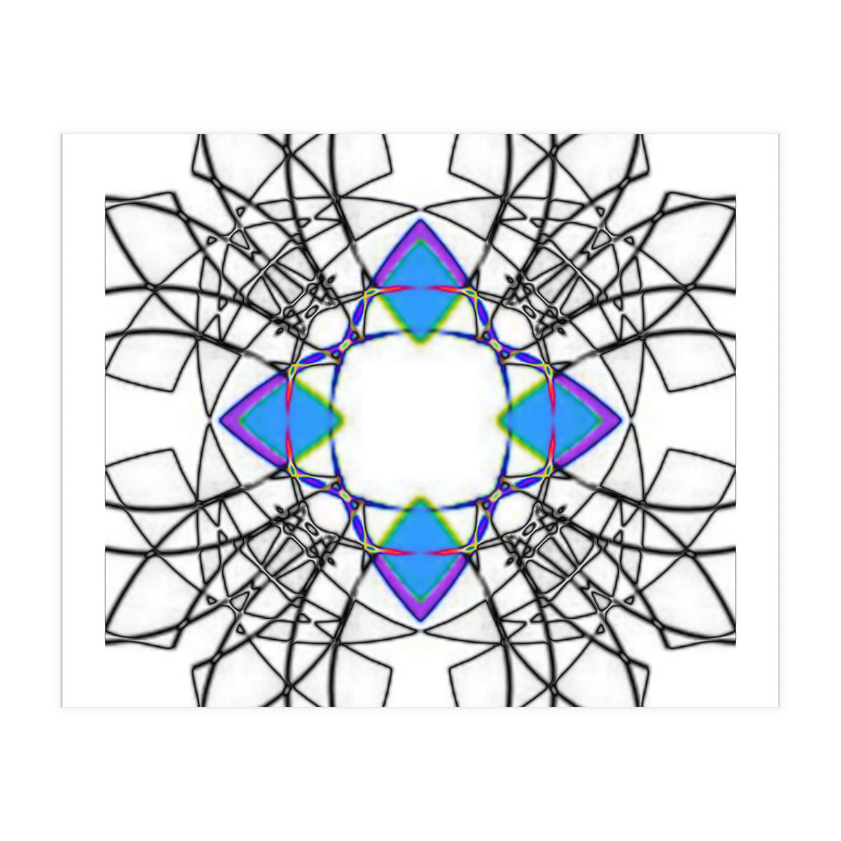 fiori.6 (Print Only)