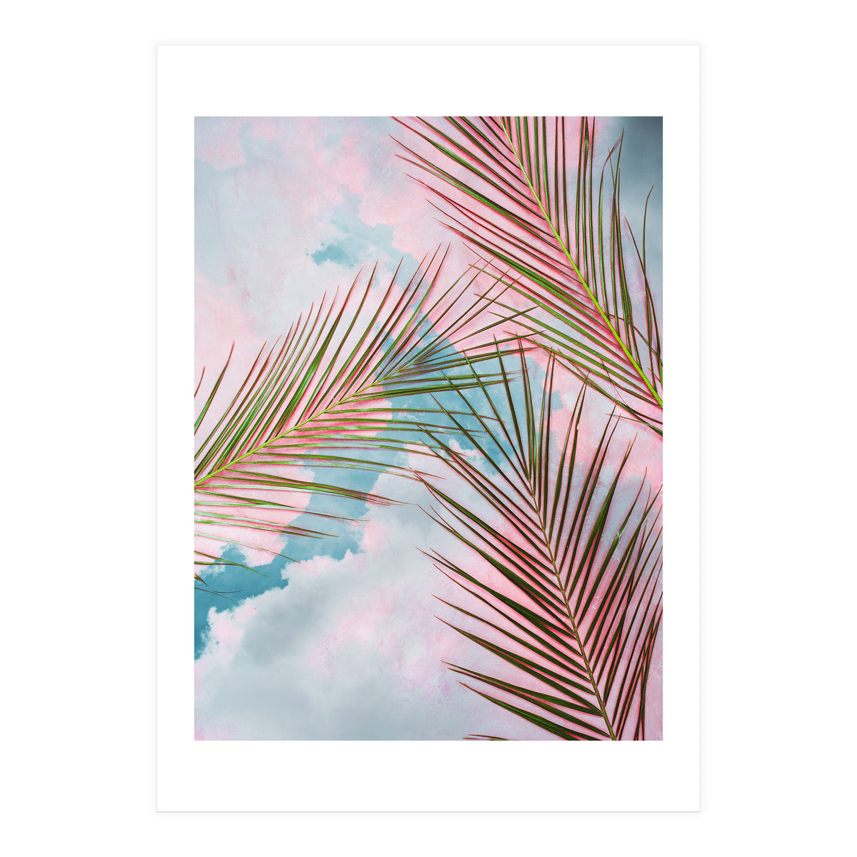 Palms + Sky (Print Only)